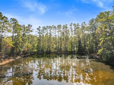 18186 Blackberry Ln, Conroe, TX 77306 - photo 7