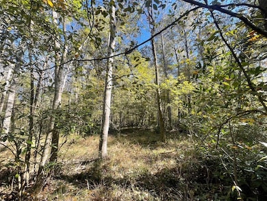 000 Hwy 35, Collins, MS 39428 - photo 3