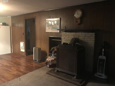 Fireplace Wood Burning Stove/Insert