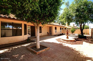 Back Yard 1