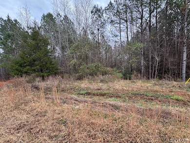 124 Maude Ln, Macon, NC 27551 - photo 3