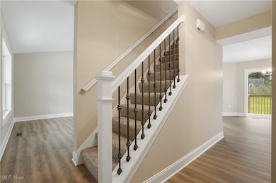 4133 State Route 225, Diamond, OH 44412 - photo 5