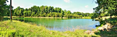 pond