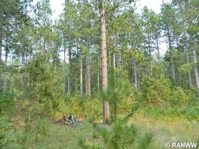 0 N Black Brook Rd unit 895453, Webster, WI 54893 - photo 7