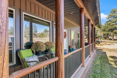 475 Hills Cir, Pagosa Springs, CO 81147 - photo 6