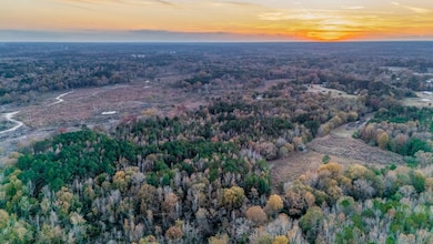 0000 Pettey Rd, Forest, MS 39074 - photo 5