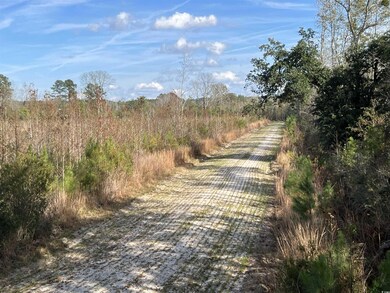 0 Easler Hwy unit 2528901, Greeleyville, SC 29056 - photo 6