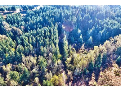 20750 Stone Rd, Sheridan, OR 97378 - photo 6