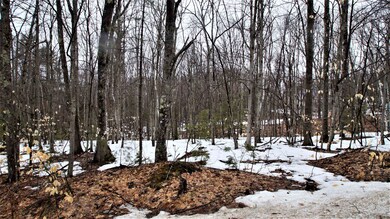 0 Mountain Dr unit 61 4941242, New Durham, NH 03855 - photo 2