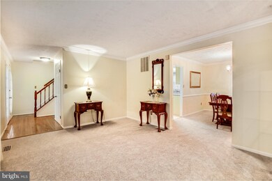 5034 Spring Branch Blvd, Dumfries, VA 22025 - photo 3