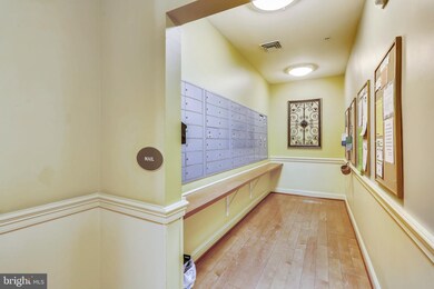 Mill Crossing unit 300, Frederick, MD 21702 - photo 7