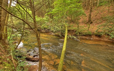 Additional View