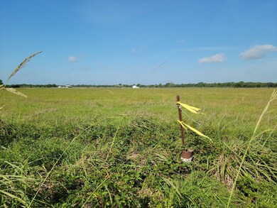 0 Cole Rd unit 94592970, Bay City, TX 77414 - photo 7