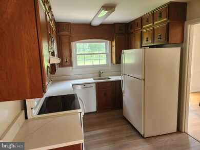 7035 Quander Rd, Alexandria, VA 22307 - photo 6