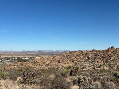 7085 Alturas Dr, Joshua Tree, CA 92252 - photo 7