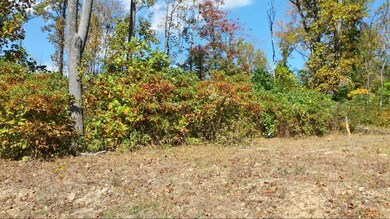 20151016_141209_Richtone(HDR) (800x450)