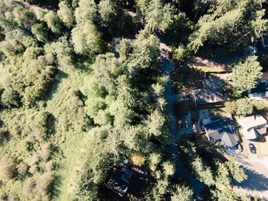 17708 Vine Ln SE, Yelm, WA 98597 - photo 6