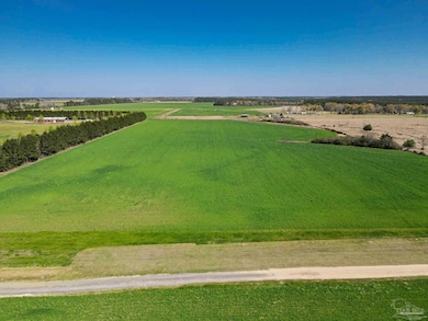 5872 S State Hwy 99, McDavid, FL 32568 - photo 5