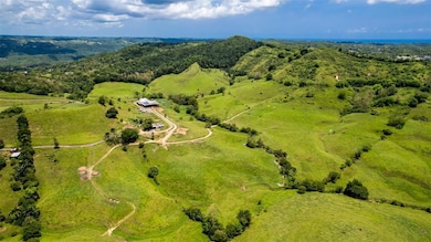 Km 1.6 633, Morovis, PR 00687 - photo 3