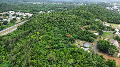 0 Arenalejos Y Santana unit 60975, Arecibo, PR 00612 - photo 6