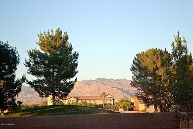 View From Back Yard 1
