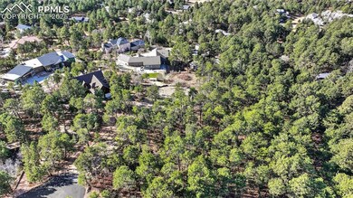 1380 Buckwood Ln, Woodmoor, CO 80132 - photo 7