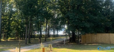 4973 Lakeplace Ln, Cedar Bluff, AL 35959 - photo 7