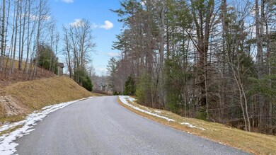 Lt 11 Trillium Ridge Rd, Cullowhee, NC 28723 - photo 7