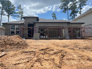 10111 Palm Bay Ln, Conroe, TX 77384 - photo 3