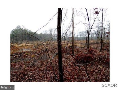 18582 Asketum Branch Rd, Georgetown, DE 19947 - photo 3