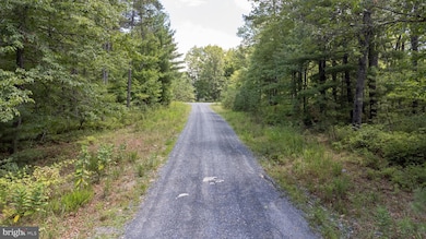 TBD Birds Nest Rd, Hinton, VA 22831 - photo 6