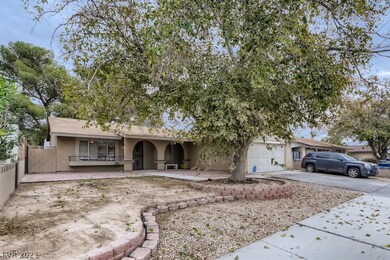 Mature trees in front & backyard