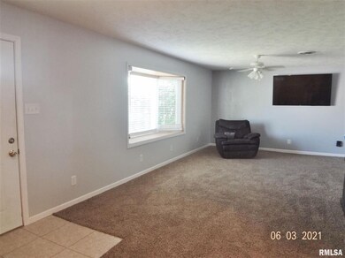 713 N Sherman St, Lincoln, IL 62656 - photo 2