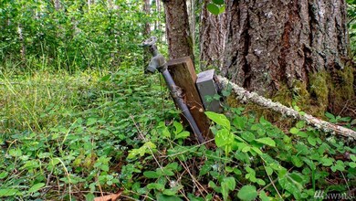 18435 Blue Hills Loop SE, Yelm, WA 98597 - photo 5