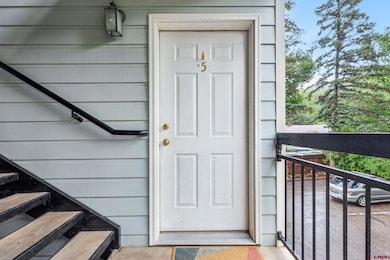 765 E College Dr unit 5, Durango, CO 81301 - photo 4