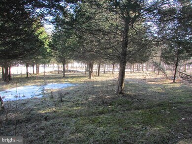 52 Trough Rd, Moorefield, WV 26836 - photo 6