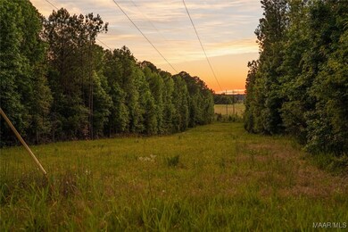 140 Flowers Rd, Fitzpatrick, AL 36029 - photo 4