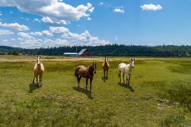 Circle C Ranch Images-4