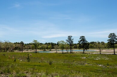 1 Paddock Rd, Oak Bluffs, MA 02568 - photo 4