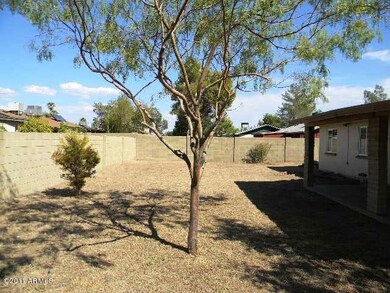 yard