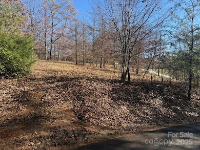 LT 15 Sunshine Acres None, Sylva, NC 28779 - photo 5