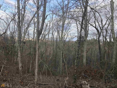 0 Hidden Ridge Dr unit 10343706, Rome, GA 30165 - photo 6