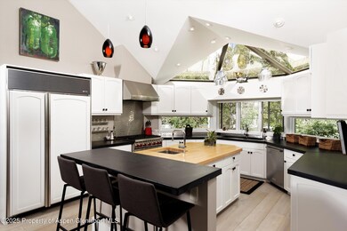 1145 Black Birch Dr, Aspen, CO 81611 - photo 5