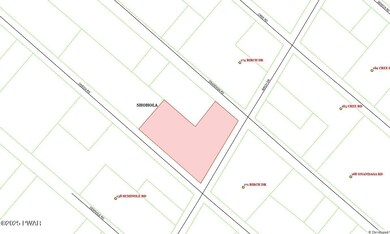 0 Birch Dr, Shohola Township, PA 18458 - photo 4