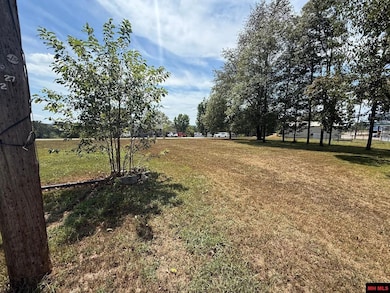 004-00552-000 Walnut Hill Ln, Cotter, AR 72626 - photo 3