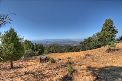 1180 Saturn Way, Crestline, CA 92325 - photo 5