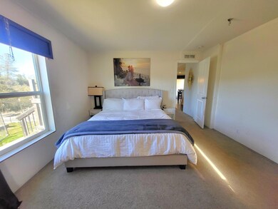 8199 Sheep Ranch Rd, Mountain Ranch, CA 95246 - photo 5