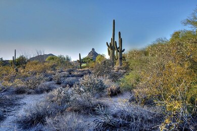 Lot_86 VIEW TO PINNACLE PEAK