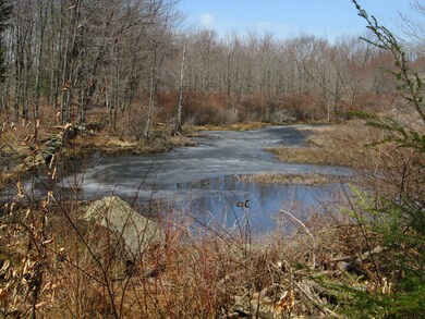 0 Davitt Rd unit PWB15584, Honesdale, PA 18431 - photo 3