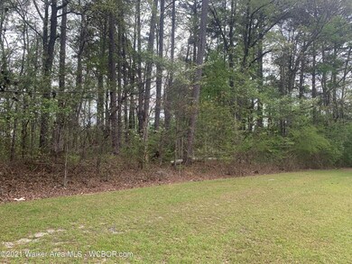 Back of Property